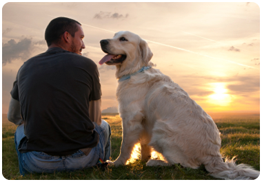 Homem com seu cachorro no campo